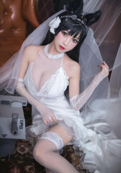 憧憬成为魔法少女动画