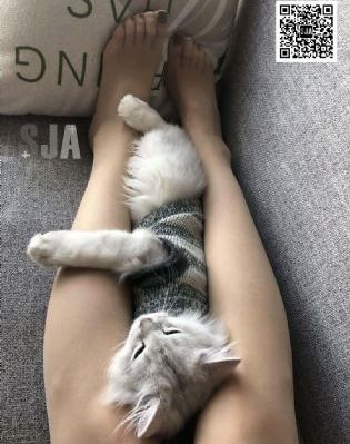 蜜桃成熟时3d