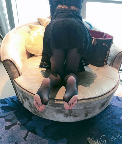 藏歌