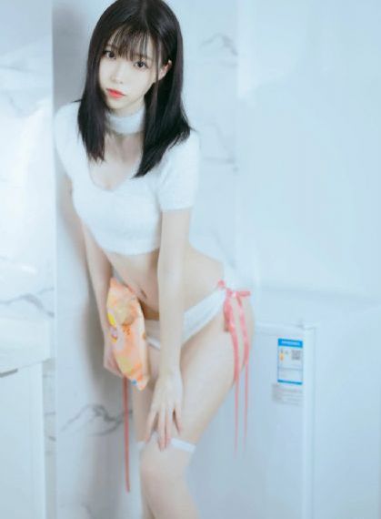 完美案件