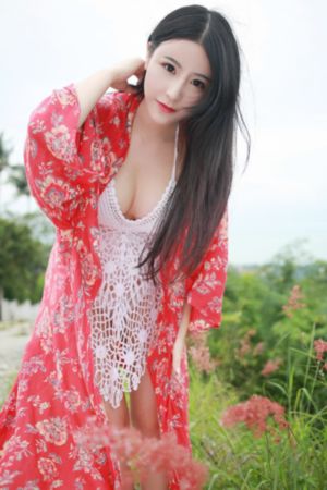 电视剧 在线观看