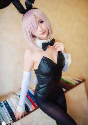 最强大脑2024