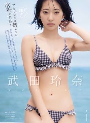 警察锅哥一至40集免费观看